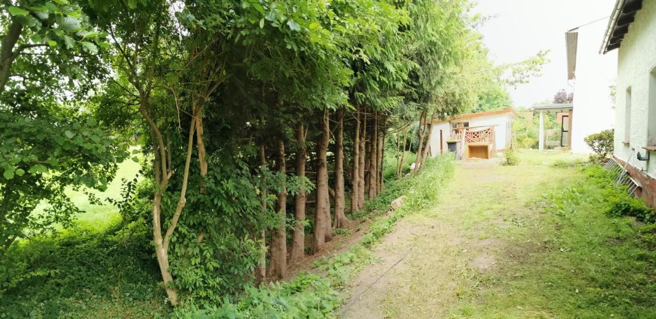 Gemuetliches Ferienhaus "An Der Schilde" In Renzow ภายนอก รูปภาพ